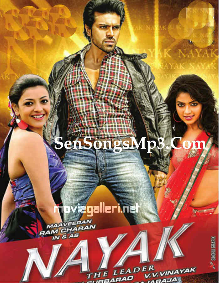 Nayak (2013)